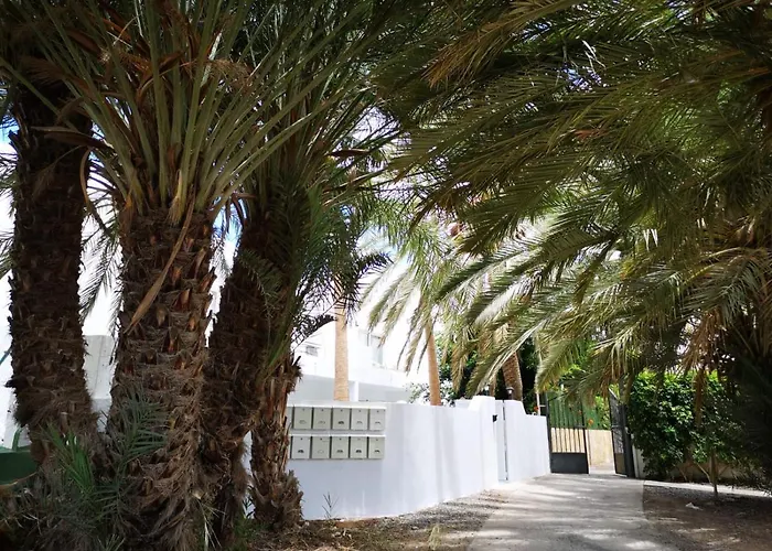 Estrella De Mar