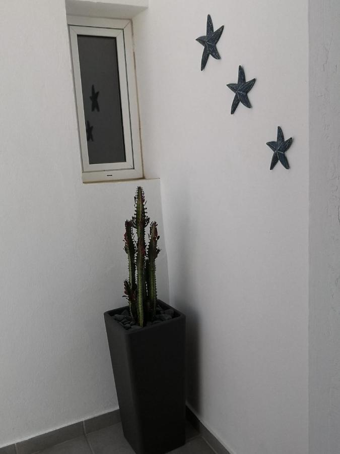 Estrella De Mar *
