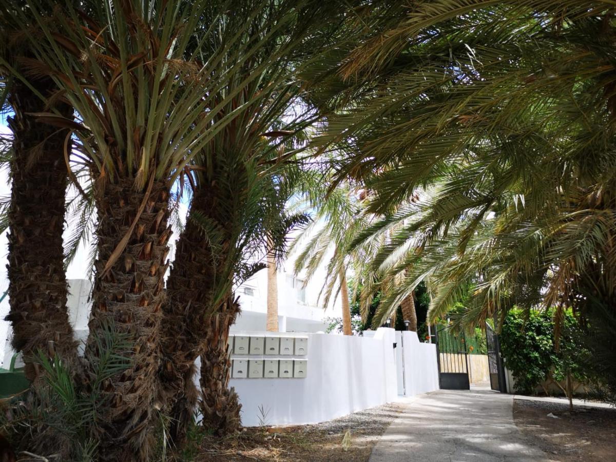 Estrella De Mar Appartement