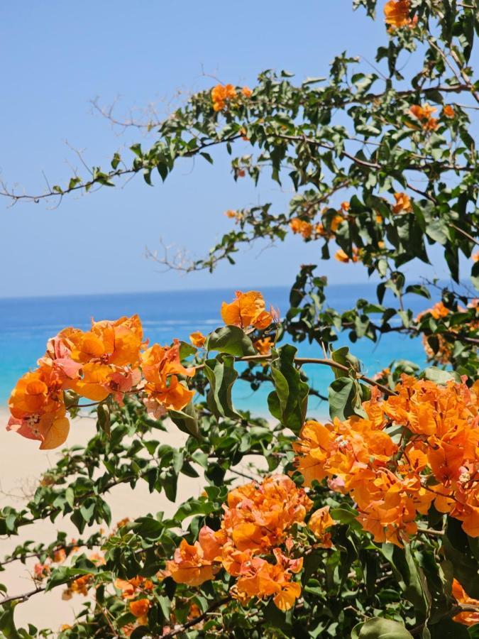 Estrella De Mar Appartement Tarajalejo